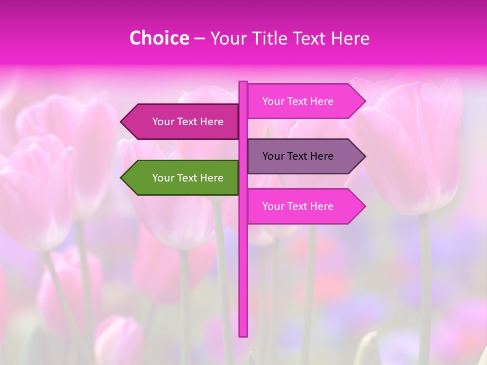 Calla Decoration Flora PowerPoint Template