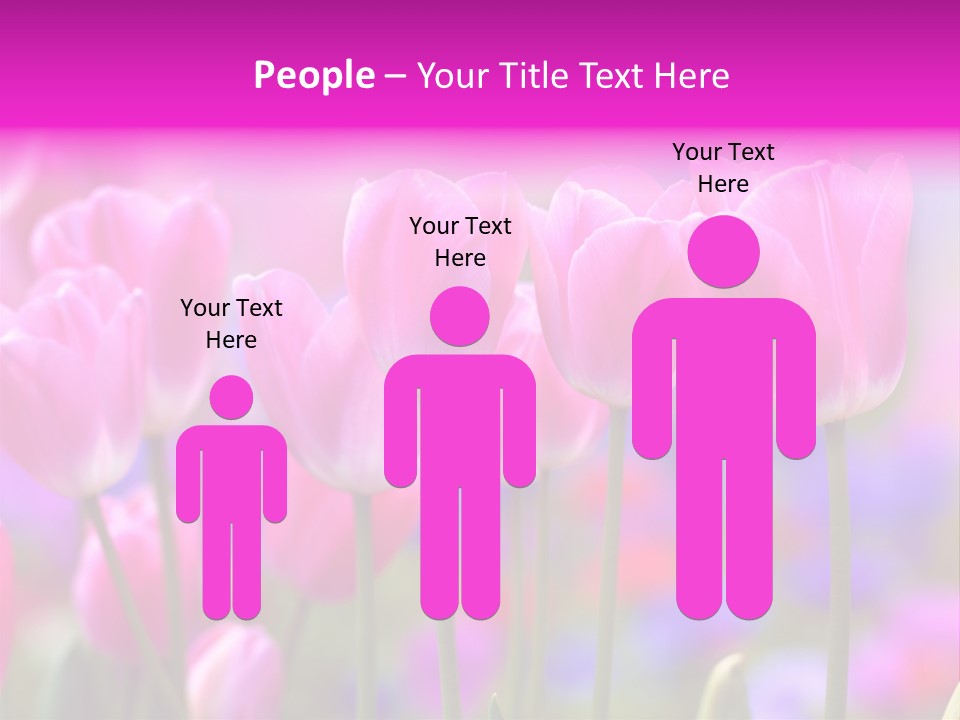 Calla Decoration Flora PowerPoint Template