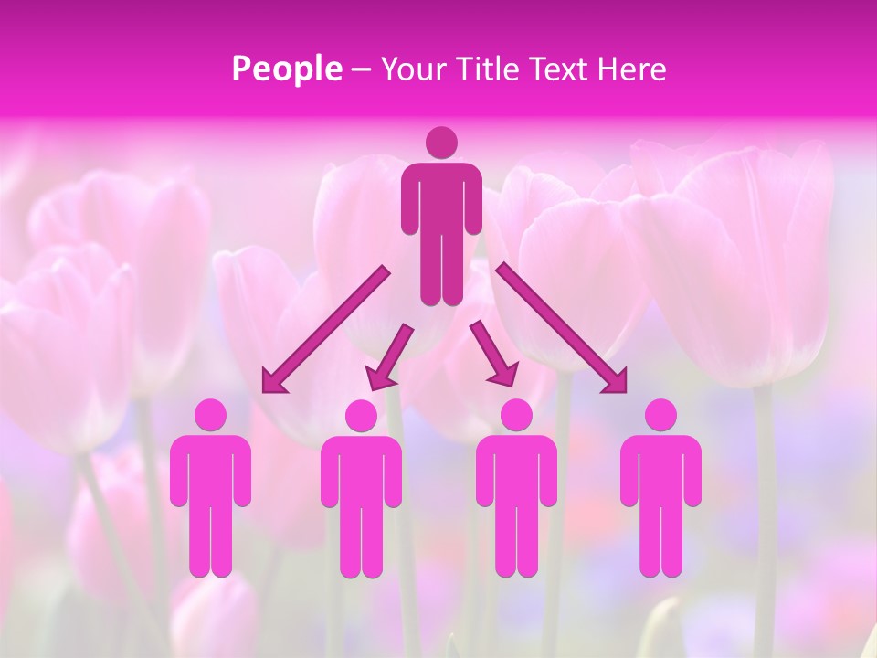 Calla Decoration Flora PowerPoint Template