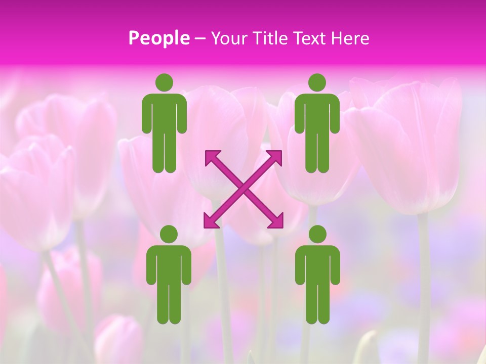 Calla Decoration Flora PowerPoint Template