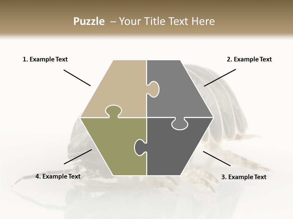 Doodlebug Animal Creature PowerPoint Template