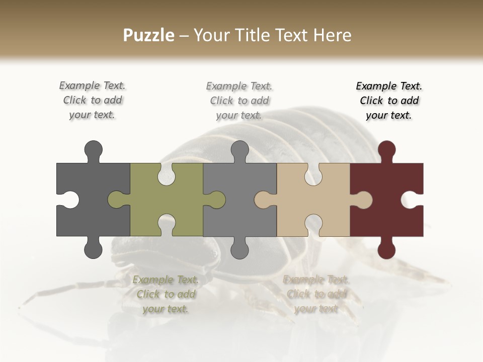 Doodlebug Animal Creature PowerPoint Template