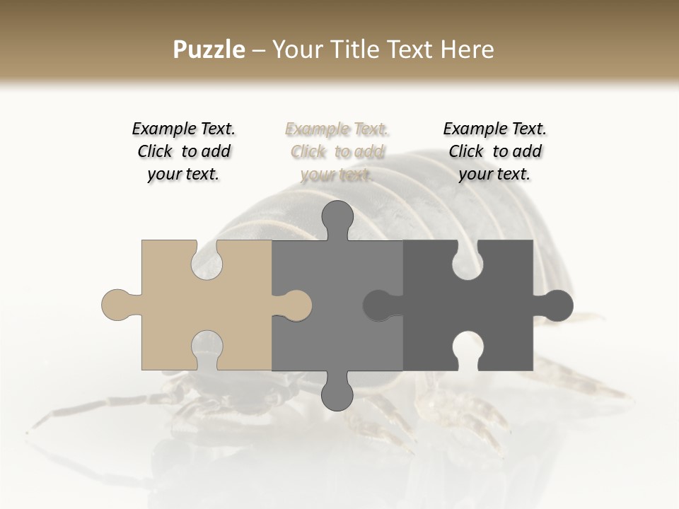 Doodlebug Animal Creature PowerPoint Template