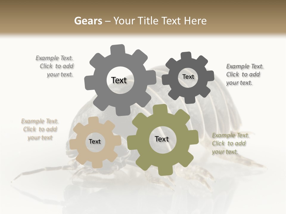 Doodlebug Animal Creature PowerPoint Template