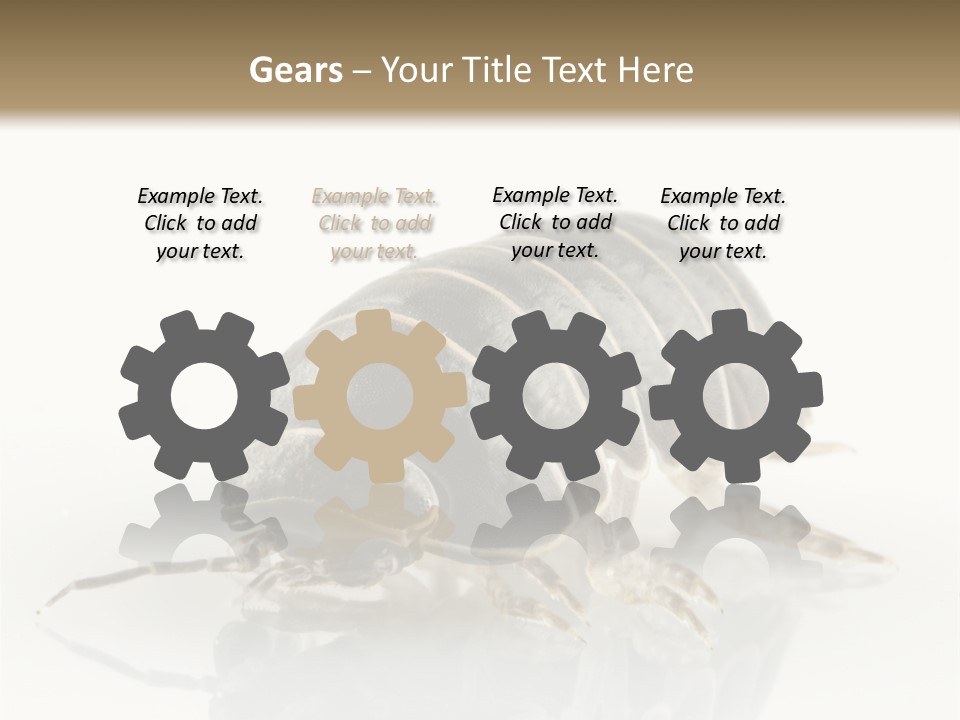 Doodlebug Animal Creature PowerPoint Template