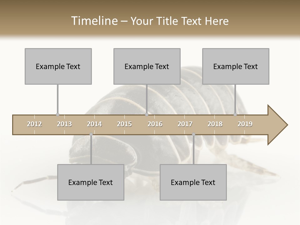 Doodlebug Animal Creature PowerPoint Template