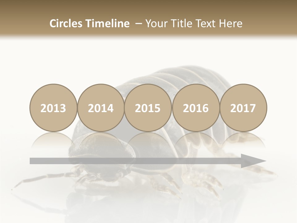 Doodlebug Animal Creature PowerPoint Template