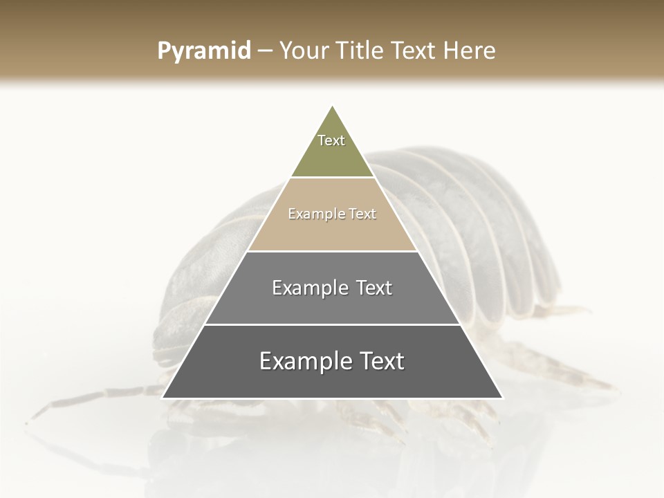 Doodlebug Animal Creature PowerPoint Template