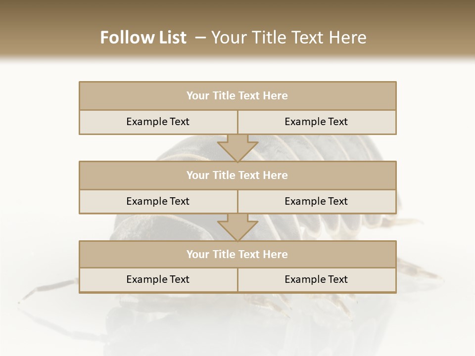 Doodlebug Animal Creature PowerPoint Template