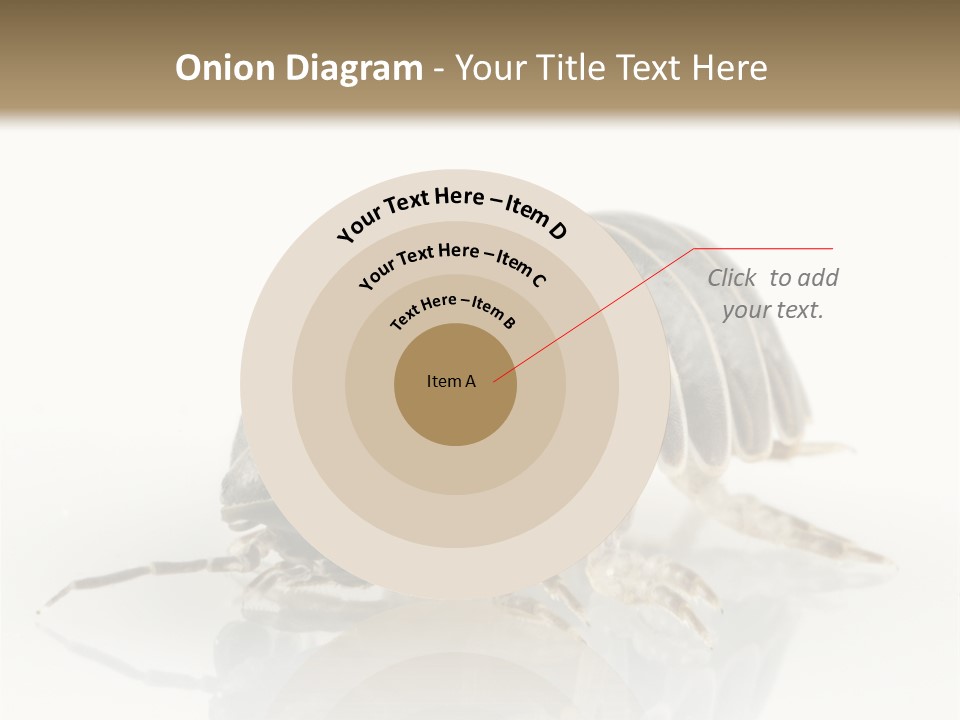 Doodlebug Animal Creature PowerPoint Template