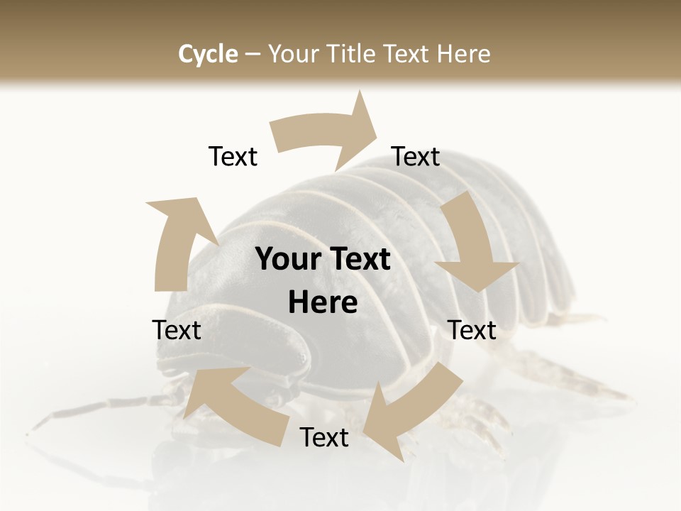 Doodlebug Animal Creature PowerPoint Template