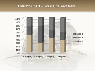 Doodlebug Animal Creature PowerPoint Template