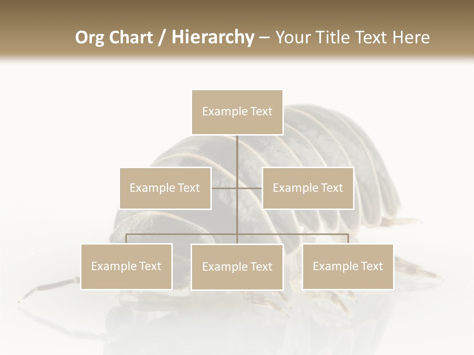 Doodlebug Animal Creature PowerPoint Template