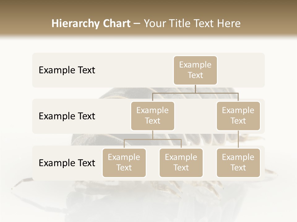 Doodlebug Animal Creature PowerPoint Template