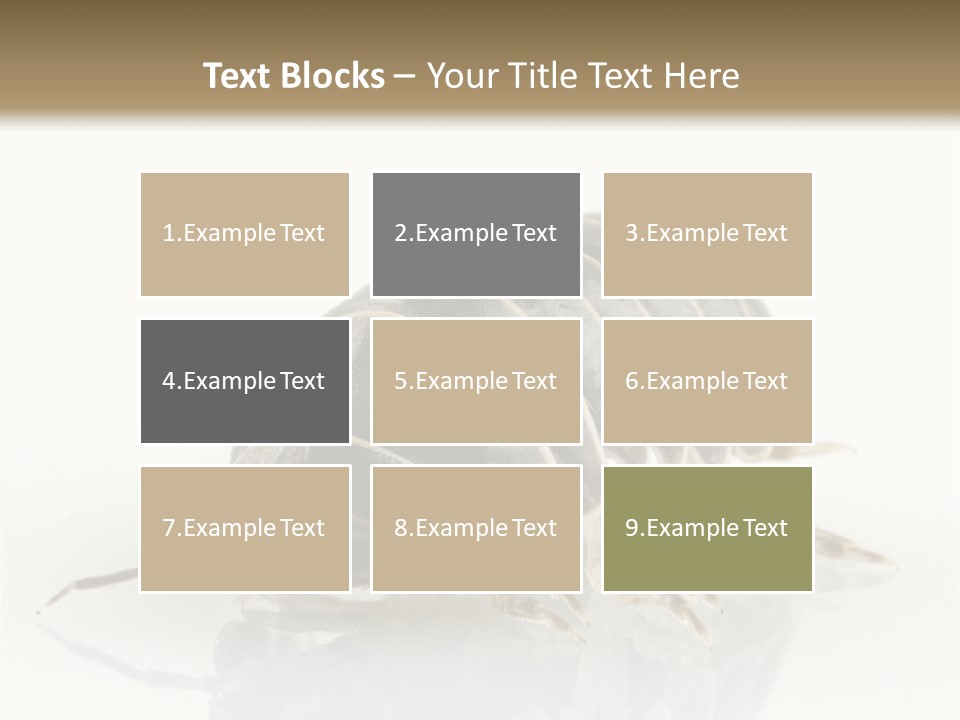 Doodlebug Animal Creature PowerPoint Template