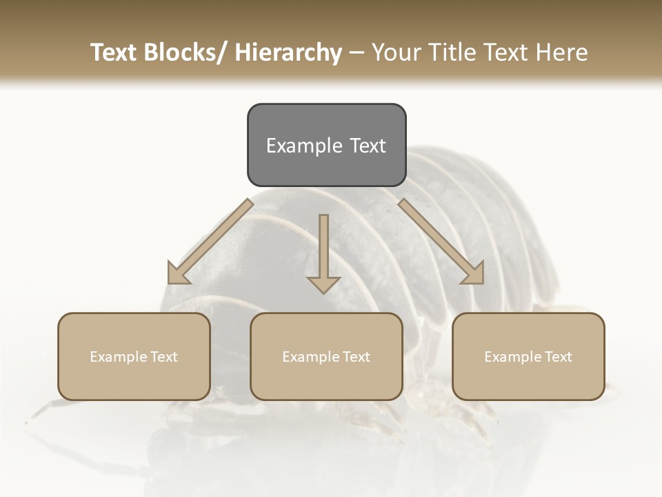 Doodlebug Animal Creature PowerPoint Template