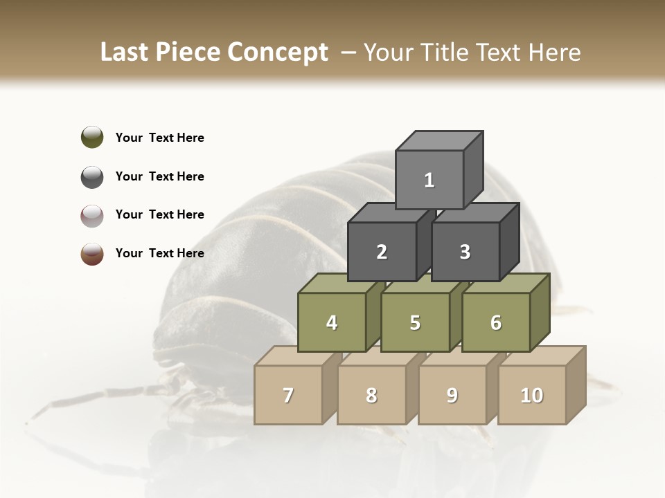 Doodlebug Animal Creature PowerPoint Template