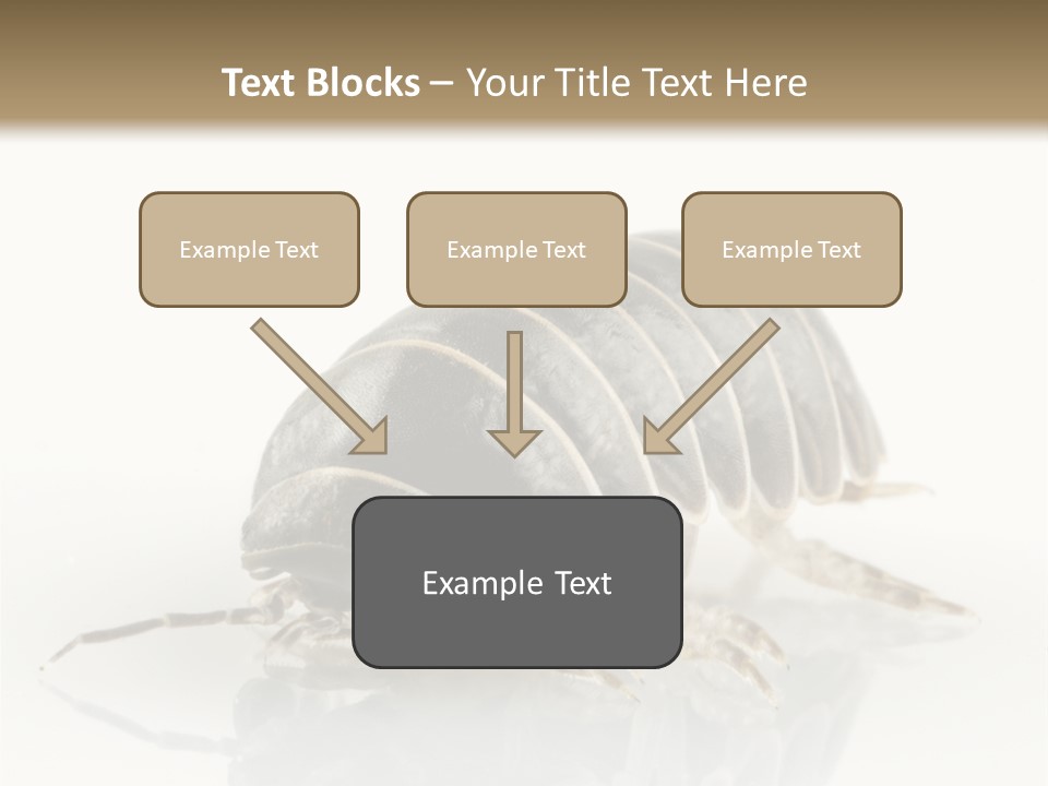 Doodlebug Animal Creature PowerPoint Template