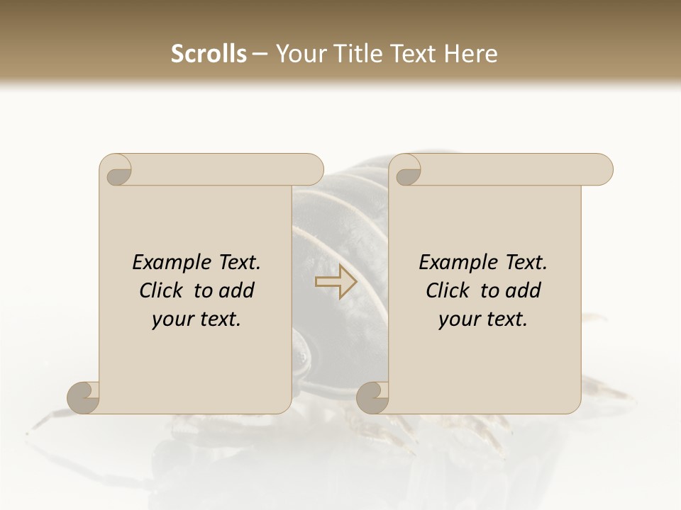 Doodlebug Animal Creature PowerPoint Template