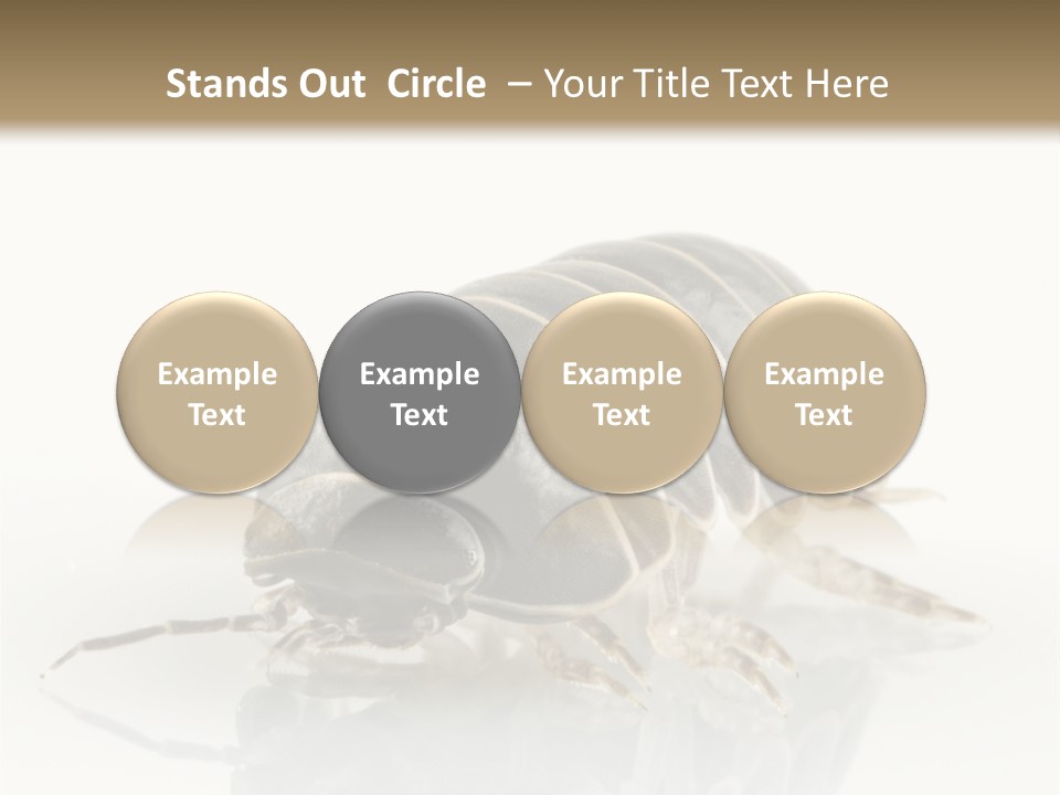 Doodlebug Animal Creature PowerPoint Template