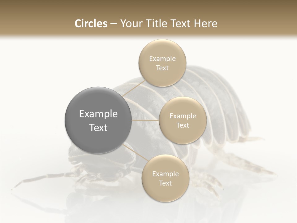 Doodlebug Animal Creature PowerPoint Template