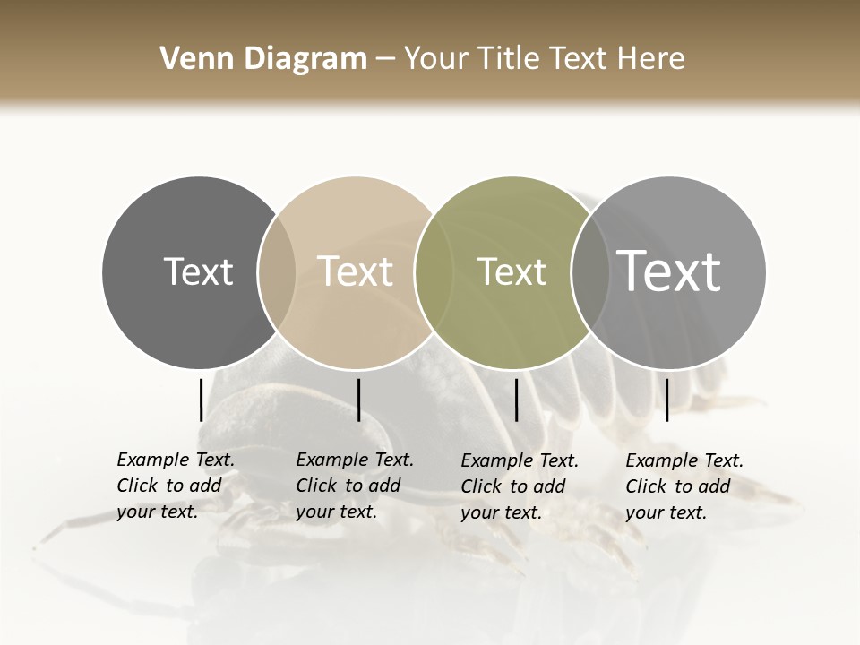 Doodlebug Animal Creature PowerPoint Template