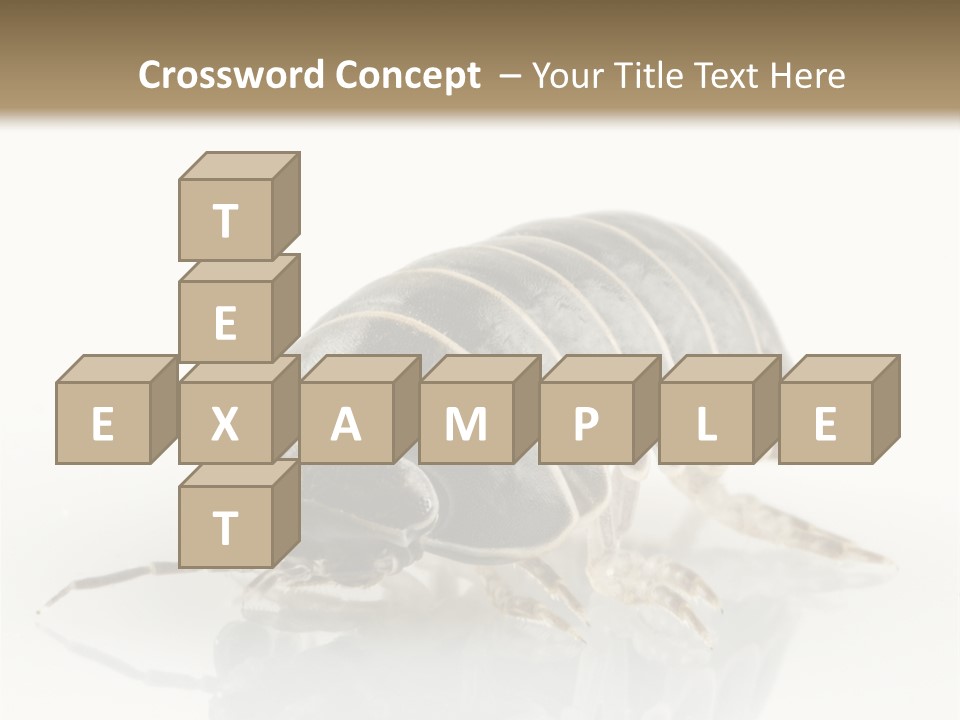 Doodlebug Animal Creature PowerPoint Template