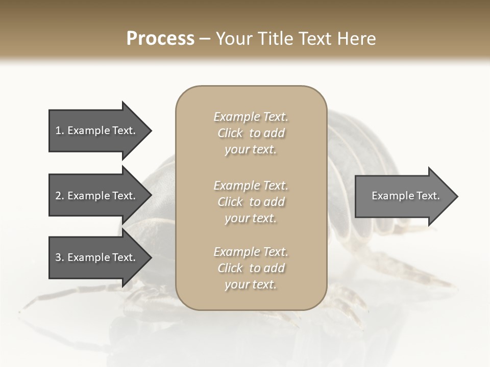 Doodlebug Animal Creature PowerPoint Template