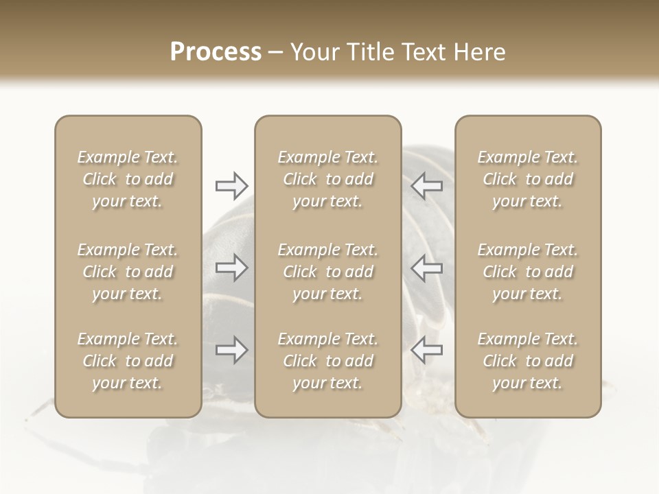 Doodlebug Animal Creature PowerPoint Template