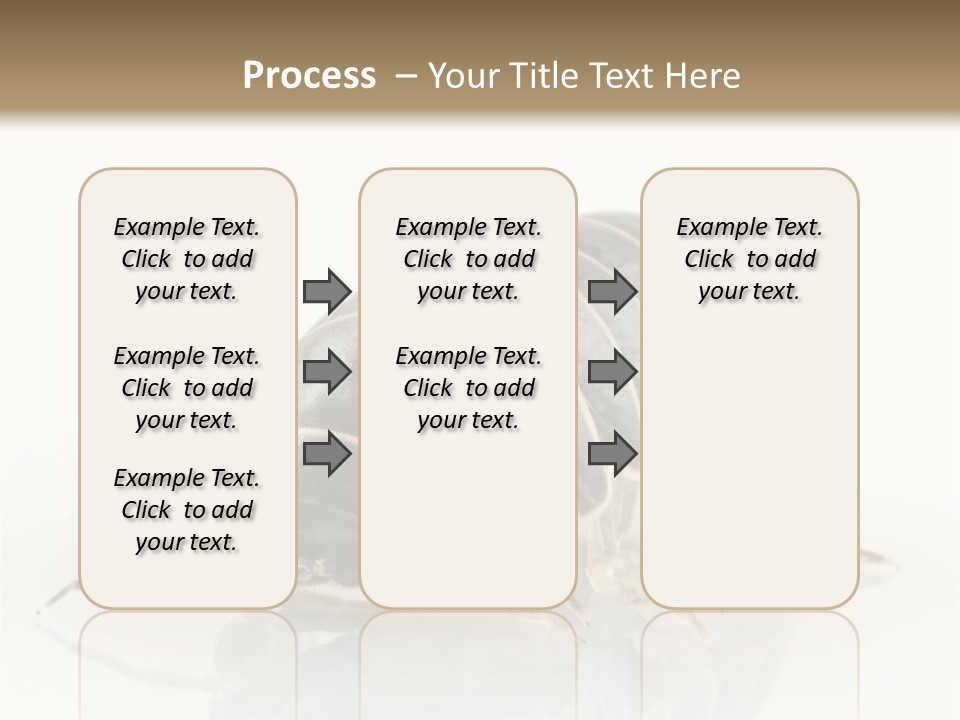 Doodlebug Animal Creature PowerPoint Template