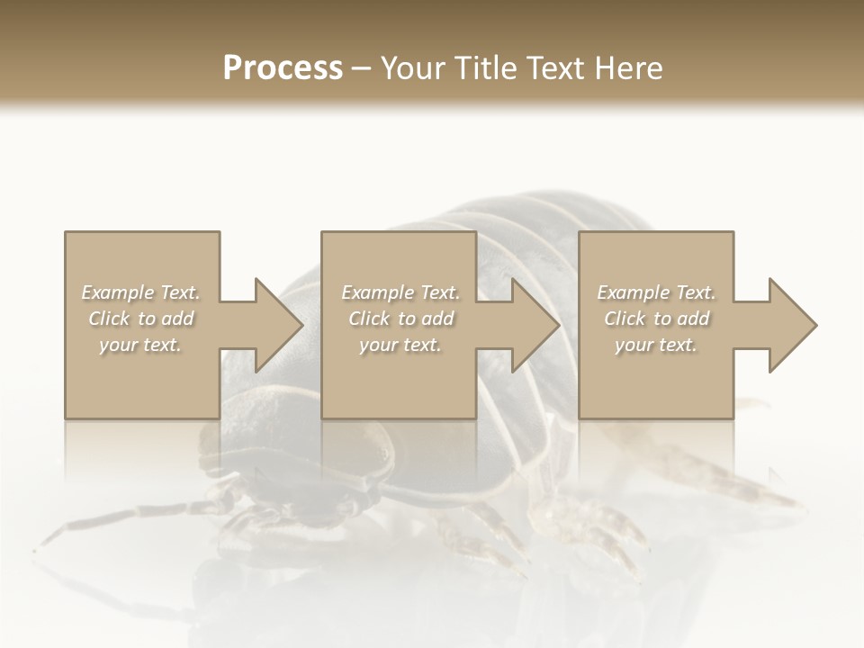 Doodlebug Animal Creature PowerPoint Template