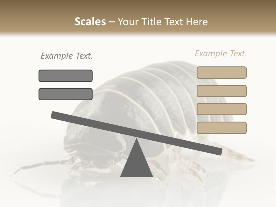 Doodlebug Animal Creature PowerPoint Template