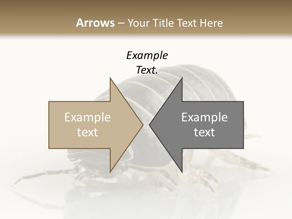 Doodlebug Animal Creature PowerPoint Template