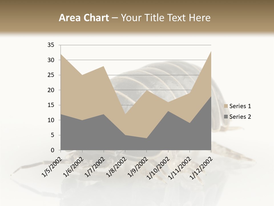 Doodlebug Animal Creature PowerPoint Template