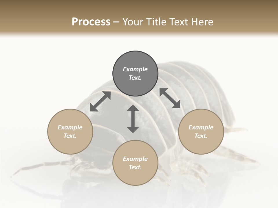 Doodlebug Animal Creature PowerPoint Template