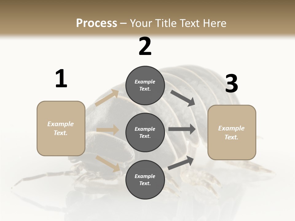 Doodlebug Animal Creature PowerPoint Template