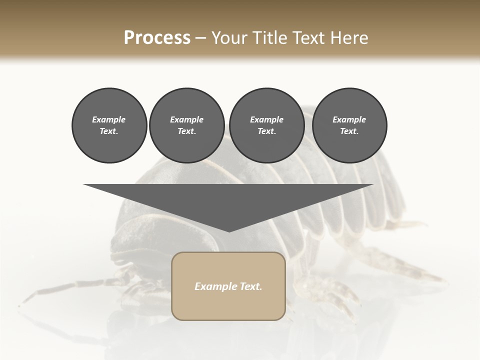 Doodlebug Animal Creature PowerPoint Template