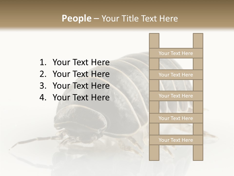 Doodlebug Animal Creature PowerPoint Template