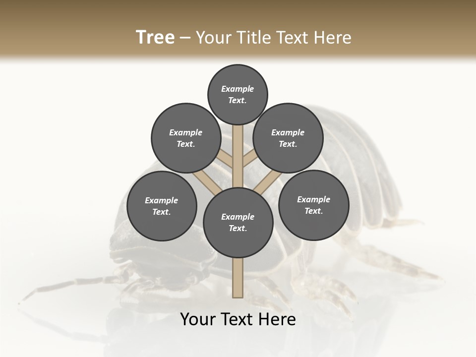 Doodlebug Animal Creature PowerPoint Template