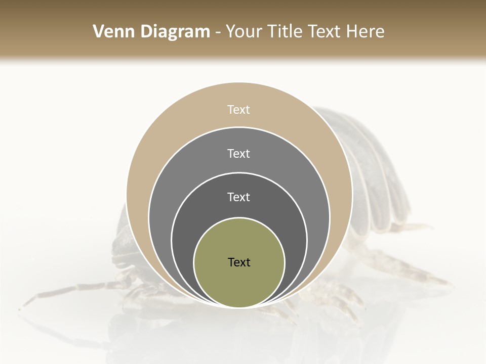 Doodlebug Animal Creature PowerPoint Template