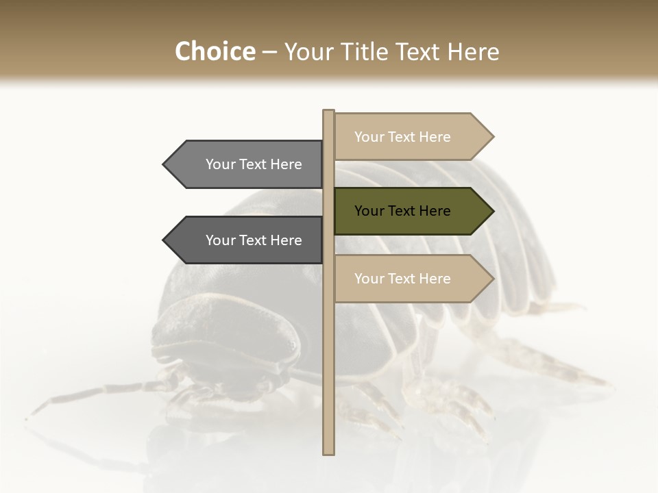 Doodlebug Animal Creature PowerPoint Template