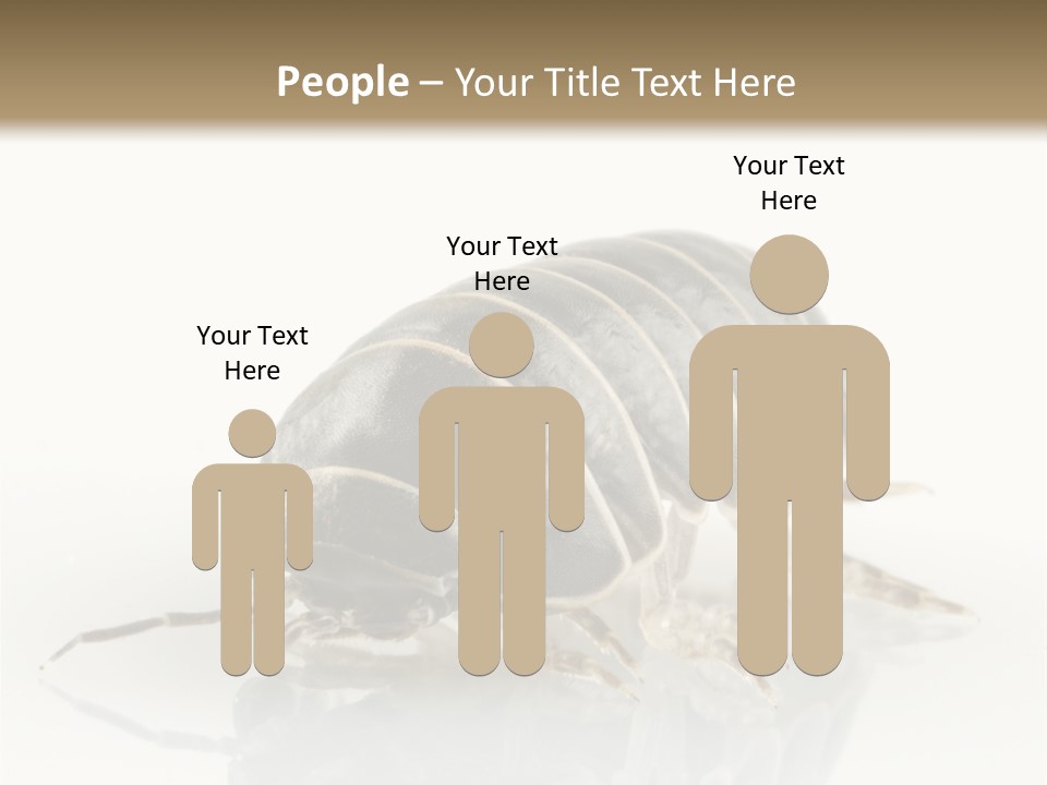 Doodlebug Animal Creature PowerPoint Template