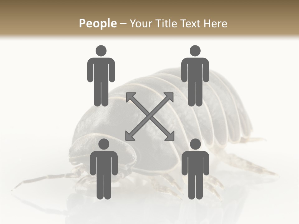 Doodlebug Animal Creature PowerPoint Template