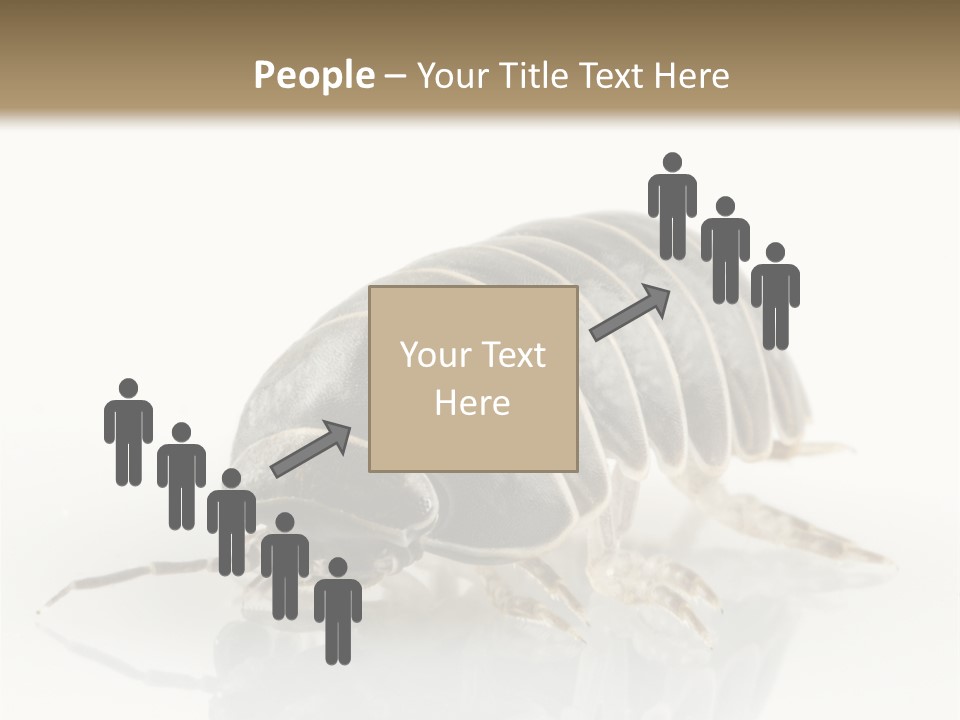 Doodlebug Animal Creature PowerPoint Template