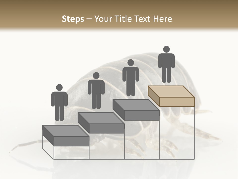 Doodlebug Animal Creature PowerPoint Template