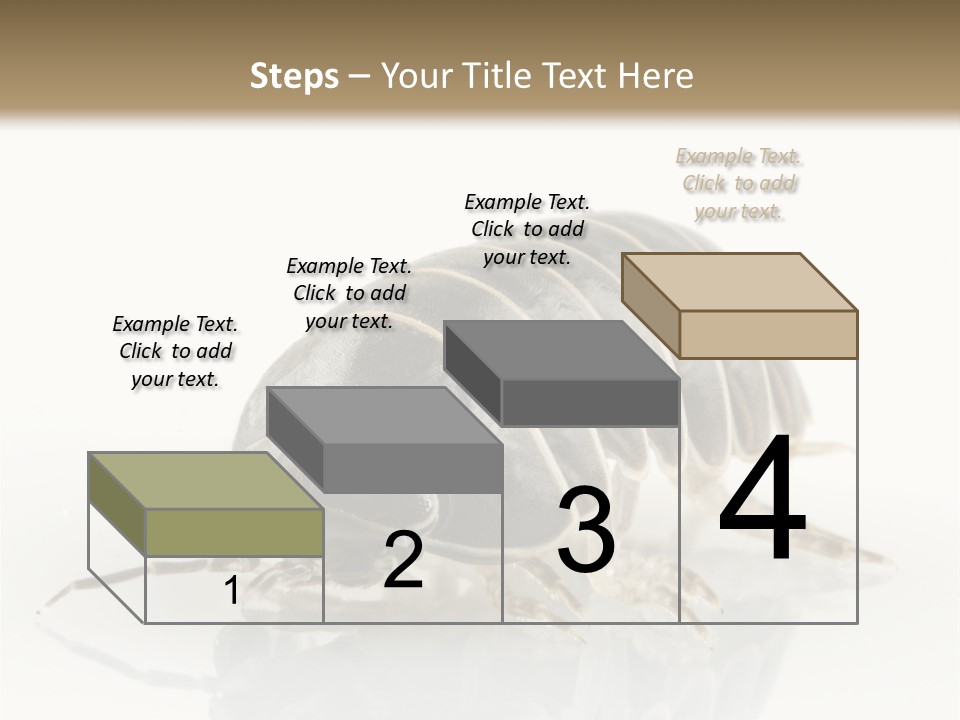 Doodlebug Animal Creature PowerPoint Template
