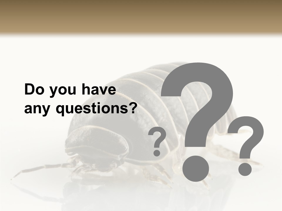 Doodlebug Animal Creature PowerPoint Template