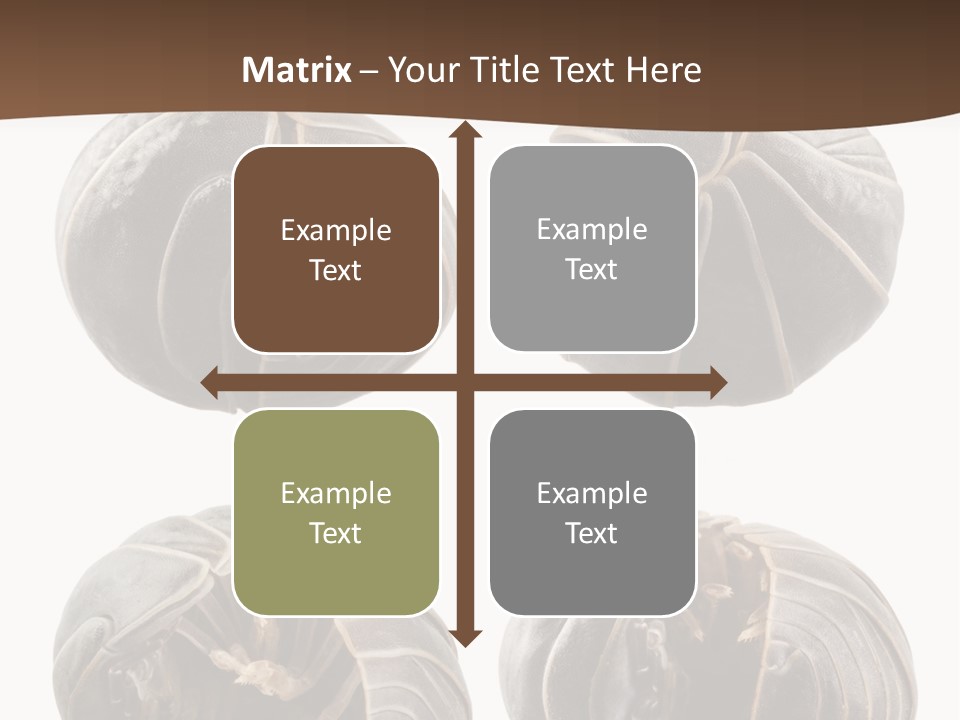 Face Armor Rolypoly PowerPoint Template