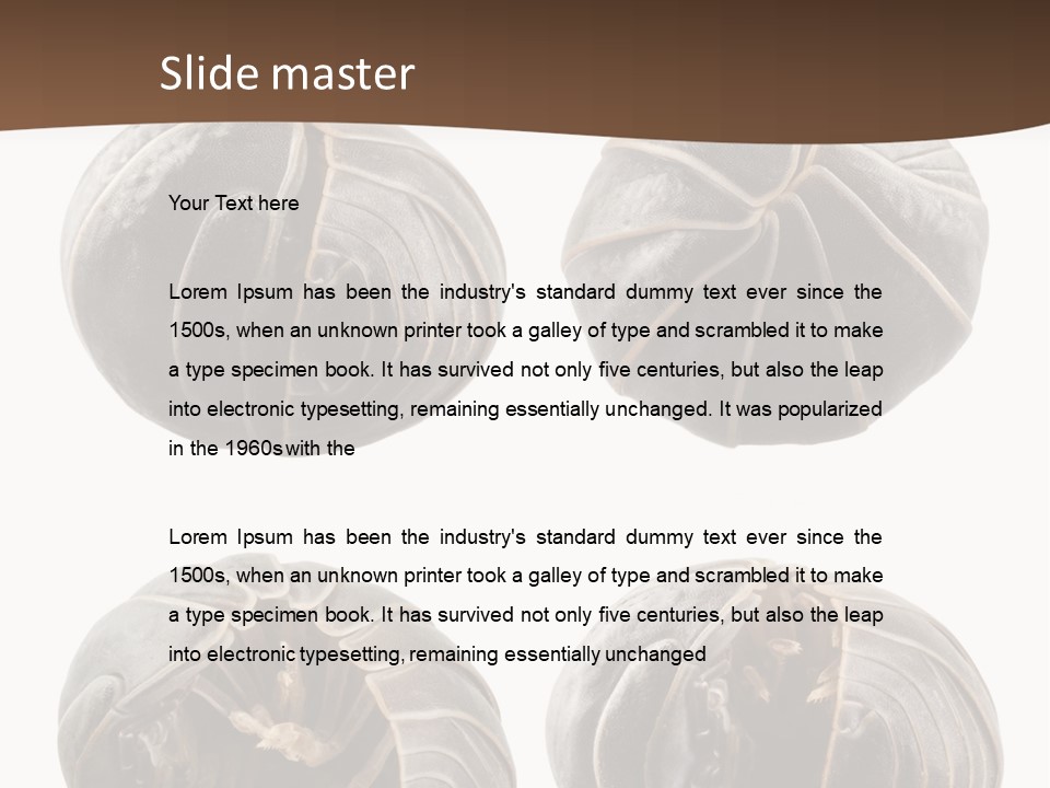 Face Armor Rolypoly PowerPoint Template