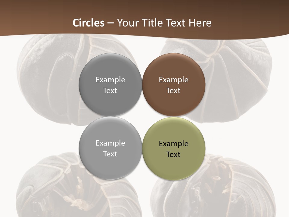 Face Armor Rolypoly PowerPoint Template